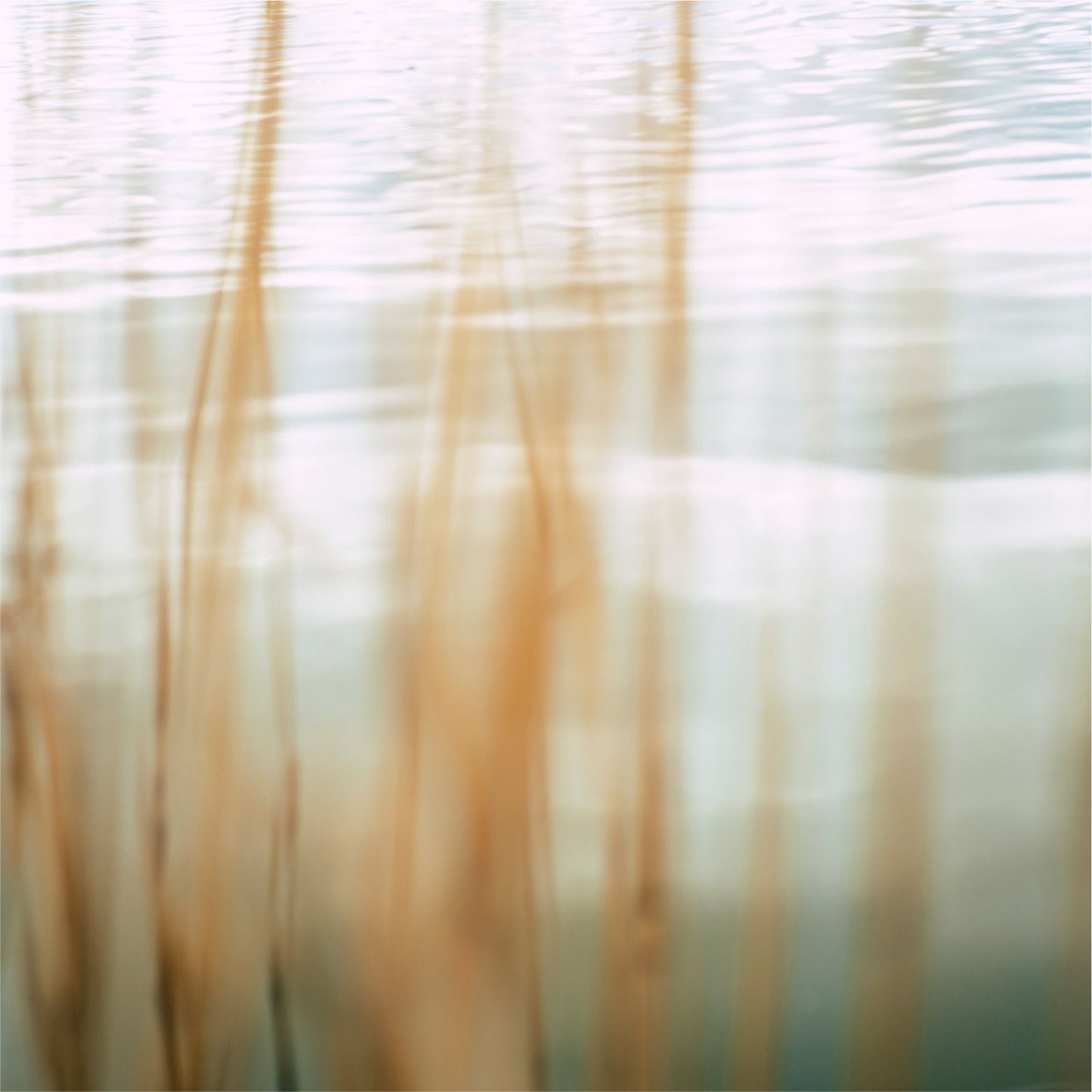 Fondo Lago Sweet